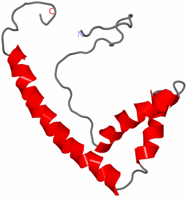 Image NMR Structure - model 1