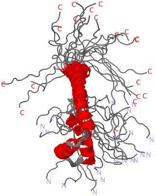 Image NMR Structure - all models