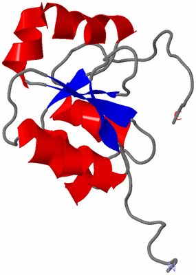 Image NMR Structure - model 1