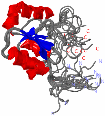 Image NMR Structure - all models