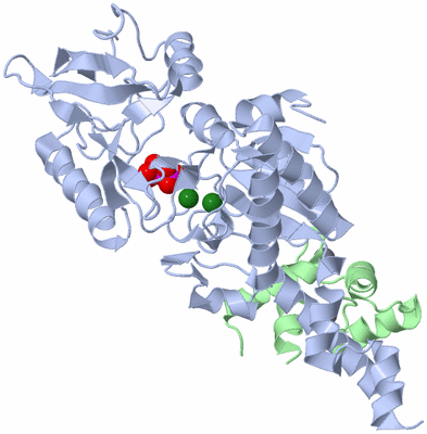 Image Asym./Biol. Unit