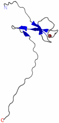 Image NMR Structure - model 1