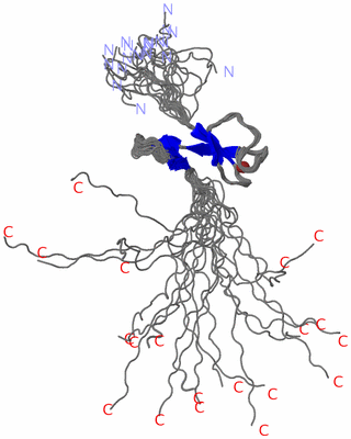 Image NMR Structure - all models
