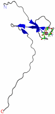 Image NMR Structure - model 1, sites