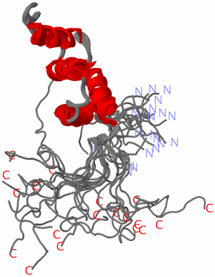 Image NMR Structure - all models