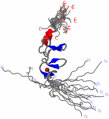 Image NMR Structure - all models