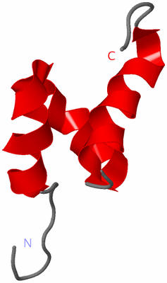Image NMR Structure - model 1