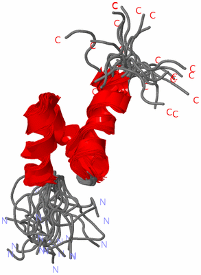 Image NMR Structure - all models