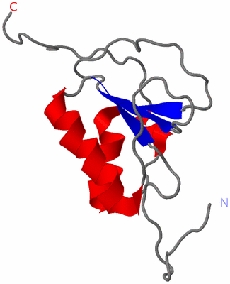 Image NMR Structure - model 1