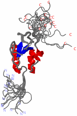 Image NMR Structure - all models
