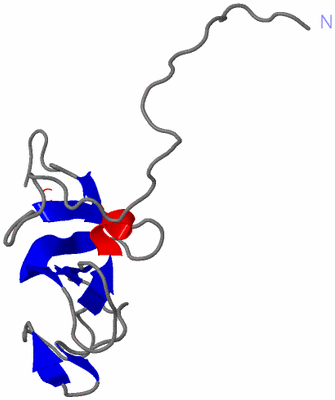 Image NMR Structure - model 1