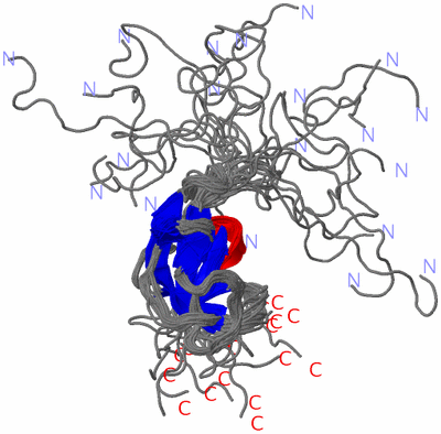 Image NMR Structure - all models