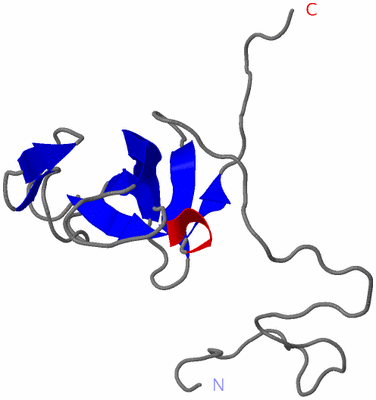 Image NMR Structure - model 1