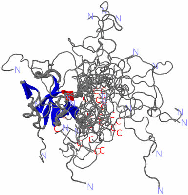 Image NMR Structure - all models