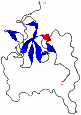 Image NMR Structure - model 1