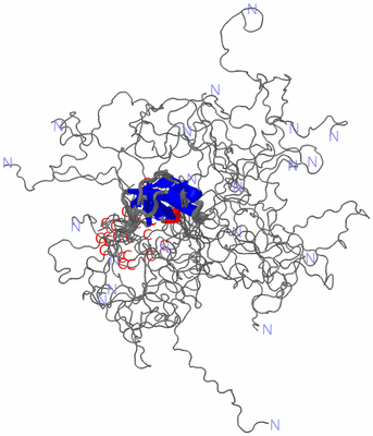 Image NMR Structure - all models