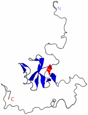 Image NMR Structure - model 1