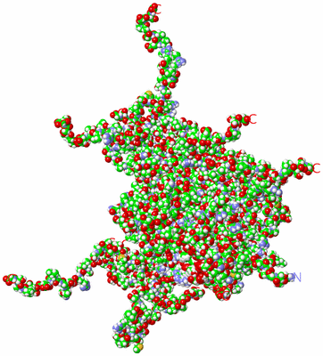 Image NMR Structure - all models