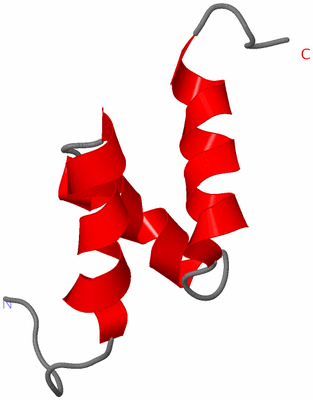 Image NMR Structure - model 1