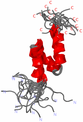 Image NMR Structure - all models