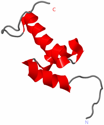 Image NMR Structure - model 1