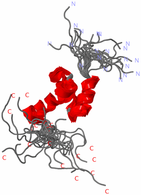 Image NMR Structure - all models