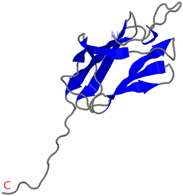 Image NMR Structure - model 1