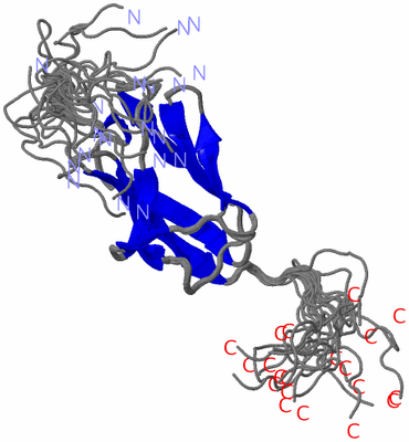 Image NMR Structure - all models