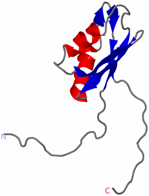 Image NMR Structure - model 1