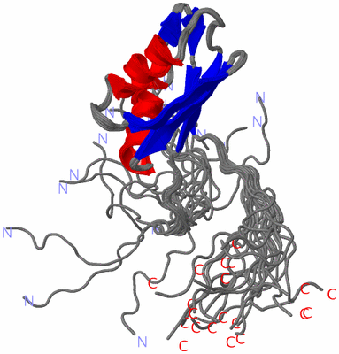 Image NMR Structure - all models