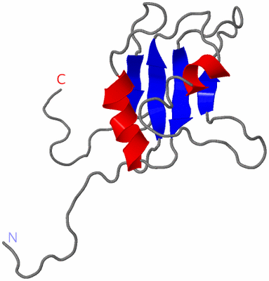 Image NMR Structure - model 1