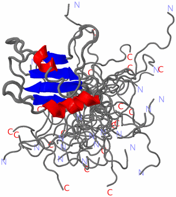 Image NMR Structure - all models