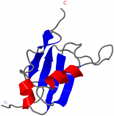 Image NMR Structure - model 1