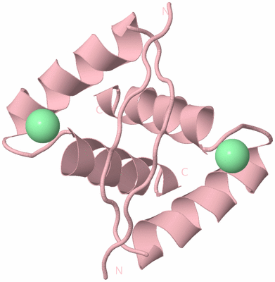 Image Biological Unit 2