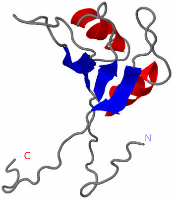 Image NMR Structure - model 1