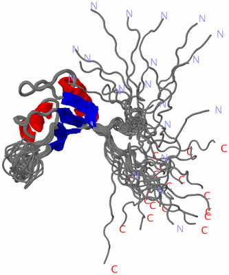 Image NMR Structure - all models