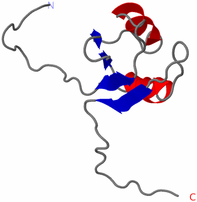 Image NMR Structure - model 1