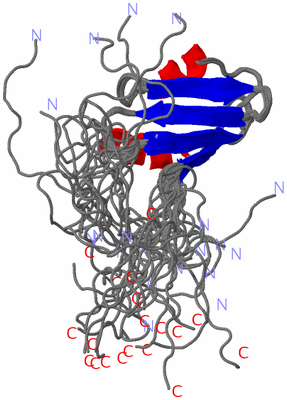 Image NMR Structure - all models