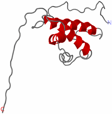 Image NMR Structure - model 1