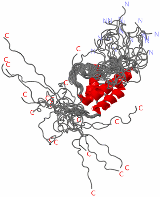 Image NMR Structure - all models