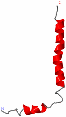 Image NMR Structure - model 1