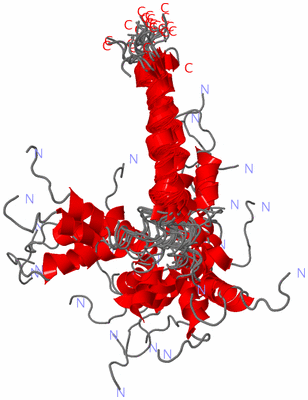 Image NMR Structure - all models