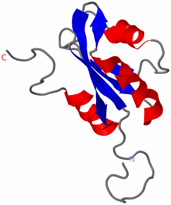 Image NMR Structure - model 1