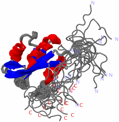 Image NMR Structure - all models