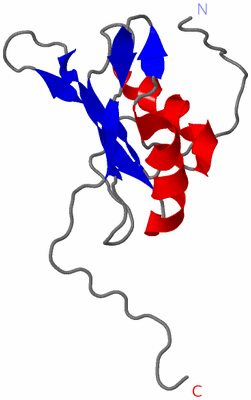 Image NMR Structure - model 1