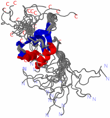 Image NMR Structure - all models