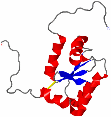 Image NMR Structure - model 1