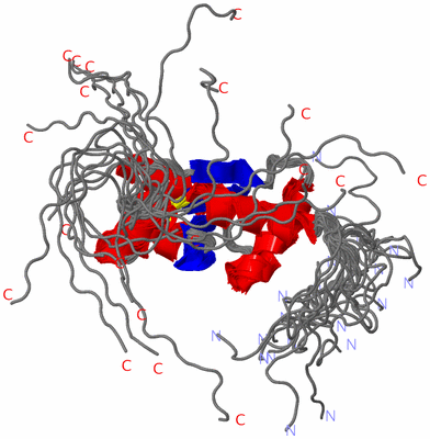 Image NMR Structure - all models