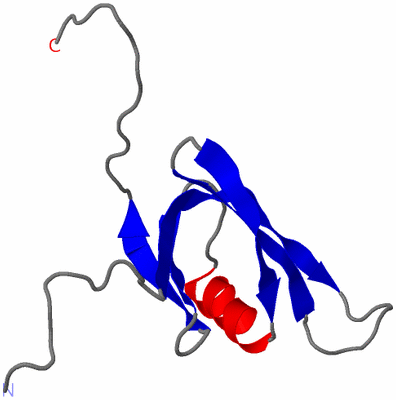 Image NMR Structure - model 1