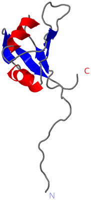 Image NMR Structure - model 1